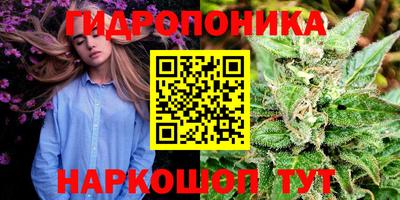 альфа пвп Гусев