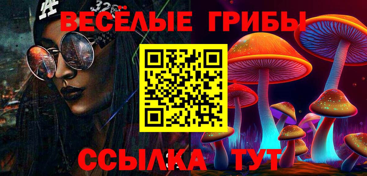 Галлюциногенные грибы Psilocybe  Вход с VPN  Нефтекумск 
